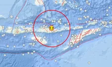 Gempa M7,7 Guncang Nagekeo, Tsunami Terdeteksi hingga Sulsel: BMKG Minta Warga Pesisir Waspada
