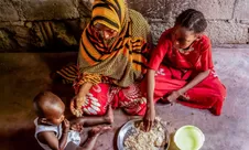 Badan Khusus PBB 'FAO' Membuka Lowongan Kerja National Project Assistant, Kontrak 12 Bulan