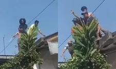 Kronologi skandal pemerkosaan terhadap anak kelas 4 SD di Cakung Jaktim, bermula saat ibu korban pulang