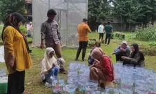 Tak perlu lahan luas, hidroponik sumbu jadi solusi bertani di perkotaan