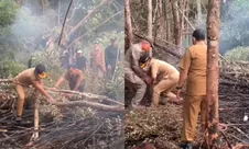 Viral momen Gubernur Kalteng Agustiar Sabran ke lokasi karhutla usai ramai dikritik ihwal penanganan bencana