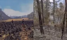 Amukan karhutla terjang Gunung Buthak-Kawinajang di Jatim, 1.000 hektare hangus terbakar