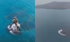 Telisik fenomena daratan baru yang disebut Cucu Krakatau, benarkah itu gunung api anyar?