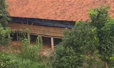 Bau Menyengat Diduga dari Peternakan Ayam di Cilalung Tangsel Dikeluhkan Warga, Izin Operasional Dipertanyakan