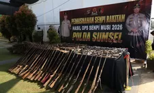 Polda Sumsel Musnahkan Ratusan Senjata Api Hasil Ops Musi 2026