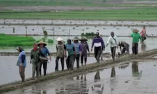 Revisi UU Perlindungan dan Pemberdayaan Petani Dorong Regenerasi dan Kesejahteraan Petani