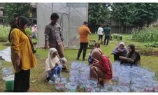  Manfaatkan Galon Bekas, Hidroponik Sistem Sumbu Dorong Urban Farming Ramah Lingkungan