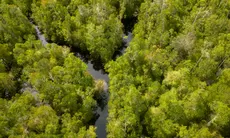 Menakar Jalan Panjang Menuju Net Zero Emission 2060, Begini Peran GIZ dalam Transformasi Hijau Indonesia
