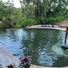Espa Yeh Panes Penatahan, Tempat Mandi Air Panas Populer Di Tabanan, Bali