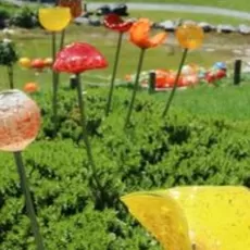 Pesona Taman Kaca: Destinasi Wisata Unik dan Menawan di Taupo