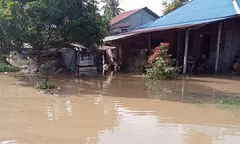 Banjir Rendam Rumah dan Tambak di Lebagu Balinggi Parigi Moutong