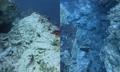 Karang Bawah Laut Komodo Retak Usai Gempa M7,7 dan Ribuan Susulan