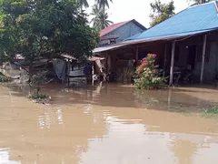Banjir Rendam Rumah dan Tambak di Lebagu Balinggi Parigi Moutong