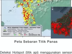 Kebakaran Lahan Kalimantan Sentuh 32 Ribu Hektare, Kalbar Terparah