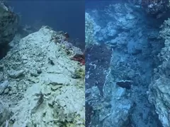 Karang Bawah Laut Komodo Retak Usai Gempa M7,7 dan Ribuan Susulan