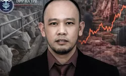 Harga Daging Sapi Naik: Intervensi Pemerintah dan Risiko Ketergantungan Impor