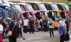 Daftar 30 Program Mudik Gratis Lebaran 2026: Cara Daftar, Syarat, dan Link Resmi
