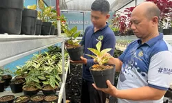 Lapas Cibinong Kembangkan Kebun Inovasi, Warga Binaan Dibekali Keterampilan Pertanian dan Peternakan