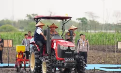 Kapolri Listyo Sigit Hadiri Tanam Raya Jagung Serentak di Sumsel, Dukung Target Swasembada Pangan