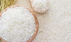 Stok Beras Indonesia Aman, Capai 27,99 Juta Ton Cukup untuk 324 Hari