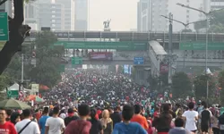 Jakarta Jadi Kota Terpadat di Dunia Versi PBB, Populasi Tembus Hampir 42 Juta Jiwa
