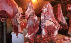 Jelang Lebaran 2026, Bapanas Pastikan Harga Daging Sapi Stabil di Kisaran Rp140 Ribu