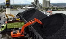 Harga Batu Bara Melonjak 3,41%, Dipicu Konflik Timur Tengah dan Gangguan Pasokan LNG