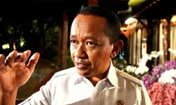 Harga Batu Bara dan Nikel Didorong Stabil, Pemerintah Percepat Hilirisasi dan Ketahanan Energi Nasional