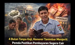 4 Bulan Tanpa Gaji, Honorer Tanimbar Menjerit: Pemda Pastikan Pembayaran Segera Cair