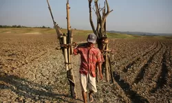 Antisipasi El Nino 2026, Pemerintah Perkuat Cadangan Pangan Nasional