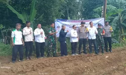 Desa Cileungsi Ciawi Luncurkan Program Jagung 1,5 Hektare, Dukung Swasembada Pangan 2026