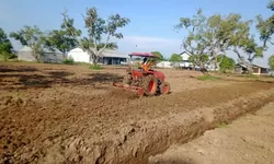 Lapas Terbuka Kendal “Gaspol” Dukung Ketahanan Pangan, Warga Binaan Dilatih Produktif Pertanian