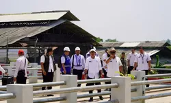 Pemkab Bogor Tinjau Progres Pasar Hewan Jonggol, Pastikan Kesiapan Operasional dan Infrastruktur