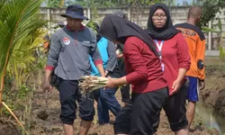 Lapas Terbuka Kendal Kembangkan Budidaya Sereh Hijau, Libatkan Warga Binaan