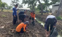 Lapas Terbuka Kendal Sulap Lahan Kebun Mangga Jadi Area Budidaya Kacang Tanah