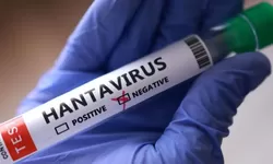 WHO Soroti Ancaman Hantavirus usai Insiden MV Hondius, Indonesia Catat 23 Kasus sejak 2024