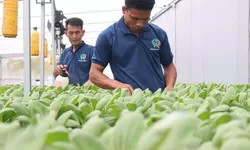 Lapas Cibinong Kembangkan Pertanian Produktif untuk Tingkatkan Kemandirian Warga Binaan