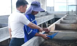Lapas Cibinong Perkuat Ketahanan Pangan Lewat Kebun Inovasi, Warga Binaan Dilatih Beternak dan Budidaya Maggot