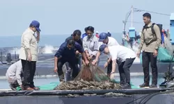 Presiden Prabowo dan Panglima TNI Panen Raya Udang di Kebumen, Produksi Capai Rp134,4 Miliar per Tahun