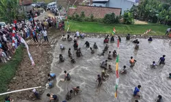 Ngubek Empang HJB ke-544 di Desa Malasari Meriah, Ratusan Warga Berebut Ikan Mas