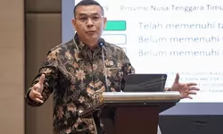 Wamen ATR/BPN Ossy Dermawan Dorong Sinkronisasi Data Lahan Sawah, Kunci Lindungi LP2B dan Ketahanan Pangan Nasional