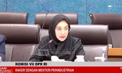 Dina Lorenza Audria Soroti Rendahnya Realisasi Program Kawasan Industri, Minta Kemenperin Percepat Pengembangan Industri Daerah