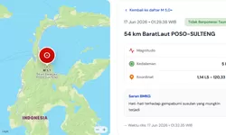 Gempa Susulan M4,9 Guncang Palu, BMKG Catat 354 Aftershock Pascagempa M6,7