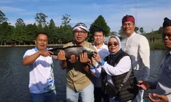 Peneliti FMIPA UI Temukan Dominasi Ikan Alien di Telaga Saat, Pemkab Bogor Disarankan Lakukan Eradikasi