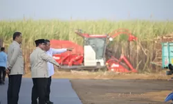 Prabowo Targetkan Indonesia Swasembada Gula dalam Dua Tahun