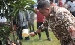 Rudy Susmanto Pimpin Gerakan Penghijauan dengan 2.000 Pohon di Pakansari