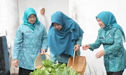 TP PKK dan DKP Kabupaten Bogor Perkuat Ketahanan Pangan Keluarga melalui Gerakan B2SA