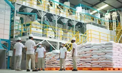 Bantuan Pangan Beras Mulai Disalurkan 17 Agustus 2026, 33,24 Juta KPM Terima 10 Kg Beras per Bulan