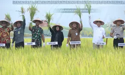 Smart Farming BI Riau Tingkatkan Produktivitas Padi Petani Siak hingga 10 Persen
