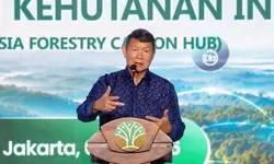 Hashim Djojohadikusumo Optimistis Perdagangan Indonesia-Thailand Tembus US$20 Miliar